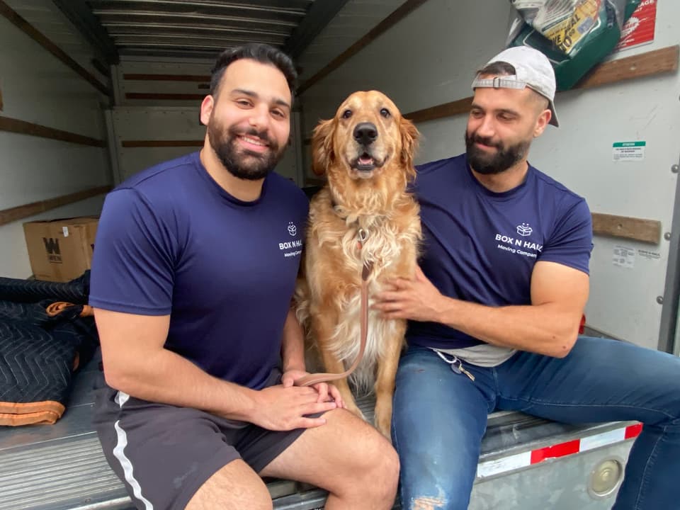 Two Box N Haul movers and a golden retriever in the back of the moving truck